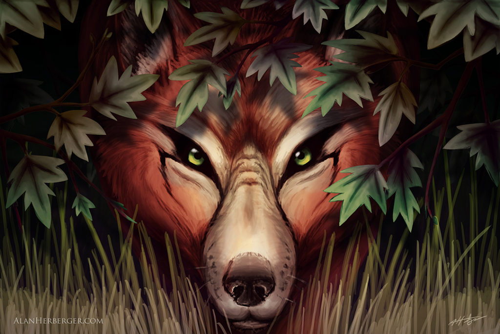 the Red Wolf-web
