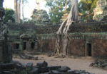 TaProhm-feature