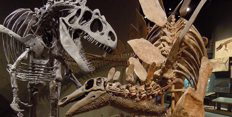 Dinosaurs - Should Christians Worry?